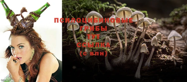 ALPHA-PVP Алексин