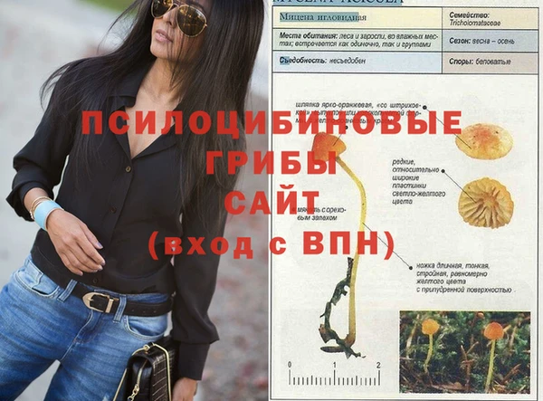 круглые Алексеевка