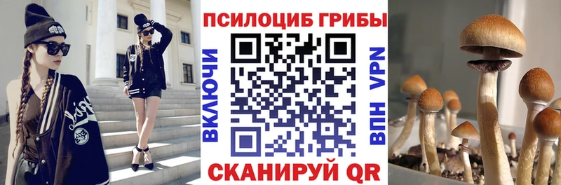 Галлюциногенные грибы мухоморы  купить   mega ссылка  Алупка 